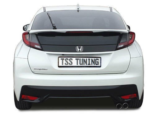 Tss auspuff sportauspuff - tss, f1